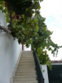 /album/habitaciones1/a026-jpg1/